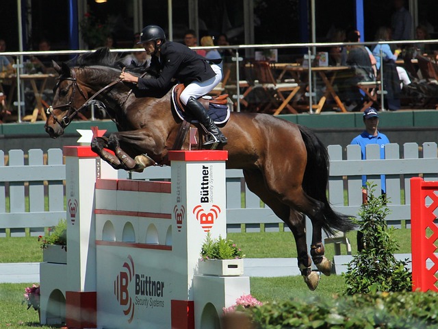 在他的职业 在他的职业