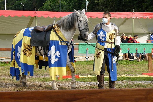 如果约翰逊 如果约翰逊