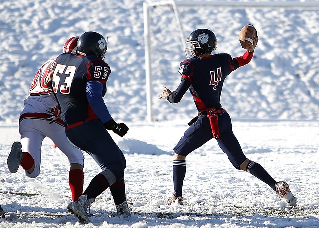 人零距离体 人零距离体
